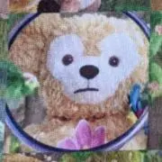 ⭐︎honey_bear⭐︎