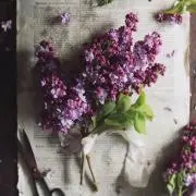 happy