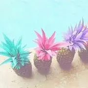☆mana' olana☆の画像