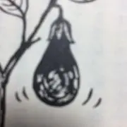 おたんこなすだっくの画像