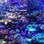 Umi -Rsの画像