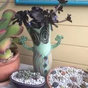 Cocoの画像