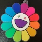 Hの画像