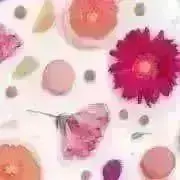 Kiki✨プロフ必読✨の画像