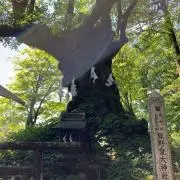 29の画像