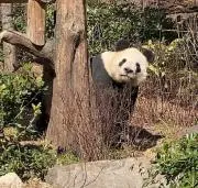 ととろぱぱの画像