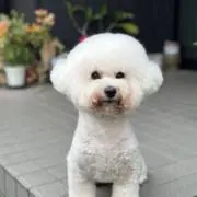 ゆりりの画像