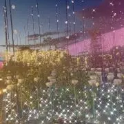 フィリアの画像