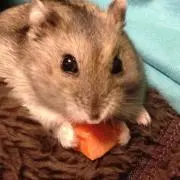 ☆〜（ゝ。∂）