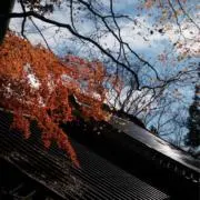 高さの画像