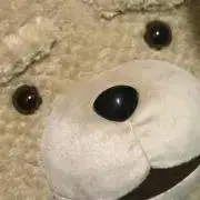 テッドの画像