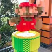 ゆっぴーの画像