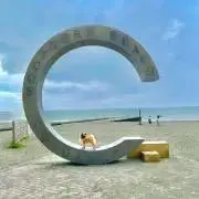 ぽーの画像