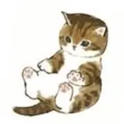 ソアー