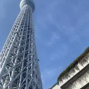 しゅがさくの画像
