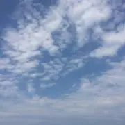 YUZU柚