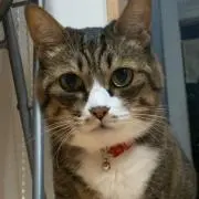 taaaaaan