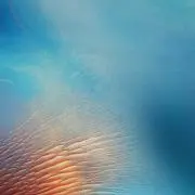 太陽