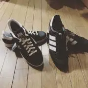 アリペーの画像