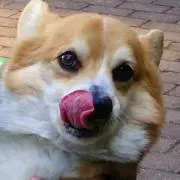 碧☆プロフィールご確認下さい！の画像