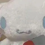 rの画像