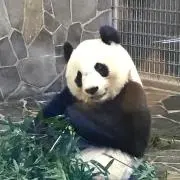 まるの画像