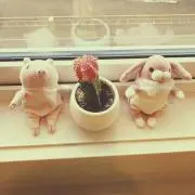 モンモンモンの画像