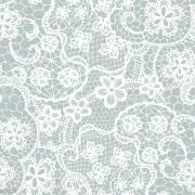 椎名の画像