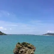アーコ☆即購入して頂いてOKです☆