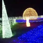 ひろあいの画像