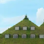 みつば(受け取りは迅速にお願いします)の画像