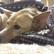 さぁ子の画像