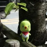 ちょうろうの画像