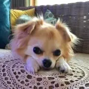 Lu-na