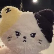 しらすの画像