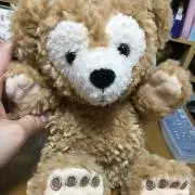 はなの画像