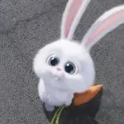 ฅ ˆ.  ̫.ˆ ฅの画像