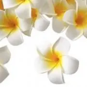 g.g.gの画像
