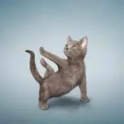 JｉJｉ^^〜°