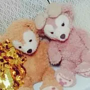 いりこしの画像