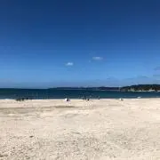 Taの画像