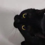 りん