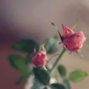 ちか