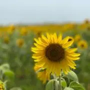 To