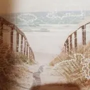 RLの画像
