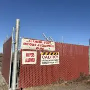 タッキーの画像