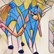 fufu2の画像