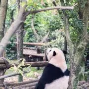 えるの画像