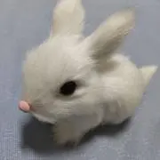 hacoの画像