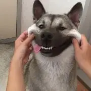 ここ
